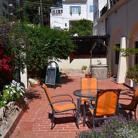 La Mimosa Guesthouse Palma de Mallorca Exteriér fotografie