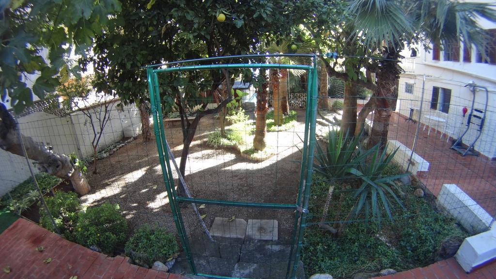 La Mimosa Guesthouse Palma de Mallorca Exteriér fotografie